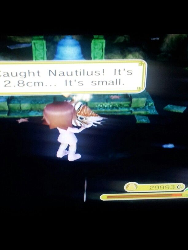 FINALLY. HOW TO CATCH A NAUTILUS . STAND RIGHT HERE AND CAST TO LEVEL 1 . 20:50 spring Harvest Moon Game, Animal Parade, Rune Factory, Harvest Moon, Nautilus, It Cast, Moon