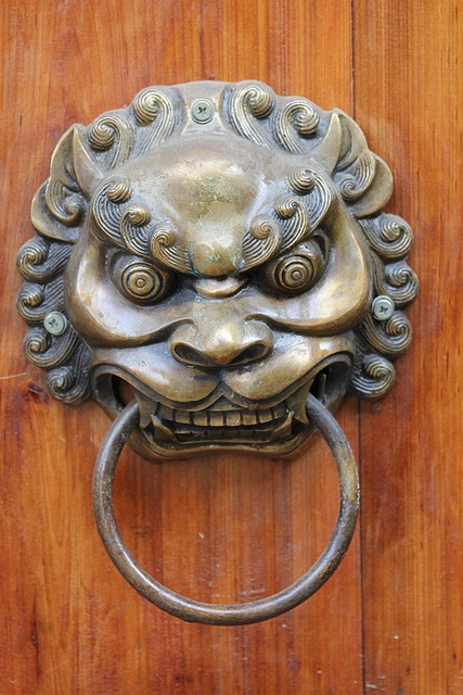 a metal lion head door knocker on a wooden door with an oval ring in front of it