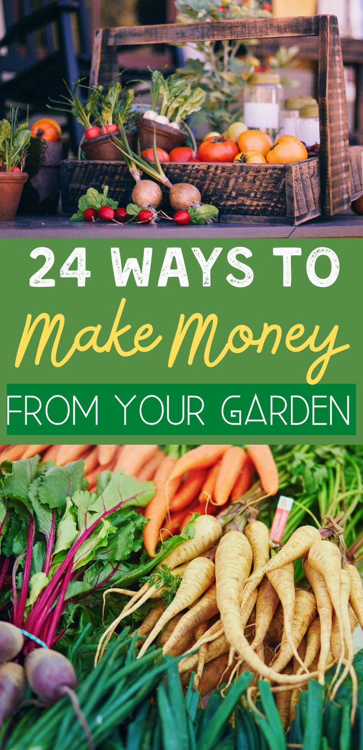 an image of fresh produce with the title 24 ways to make money from your garden