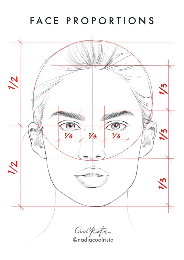 the face proportion is shown in red and white