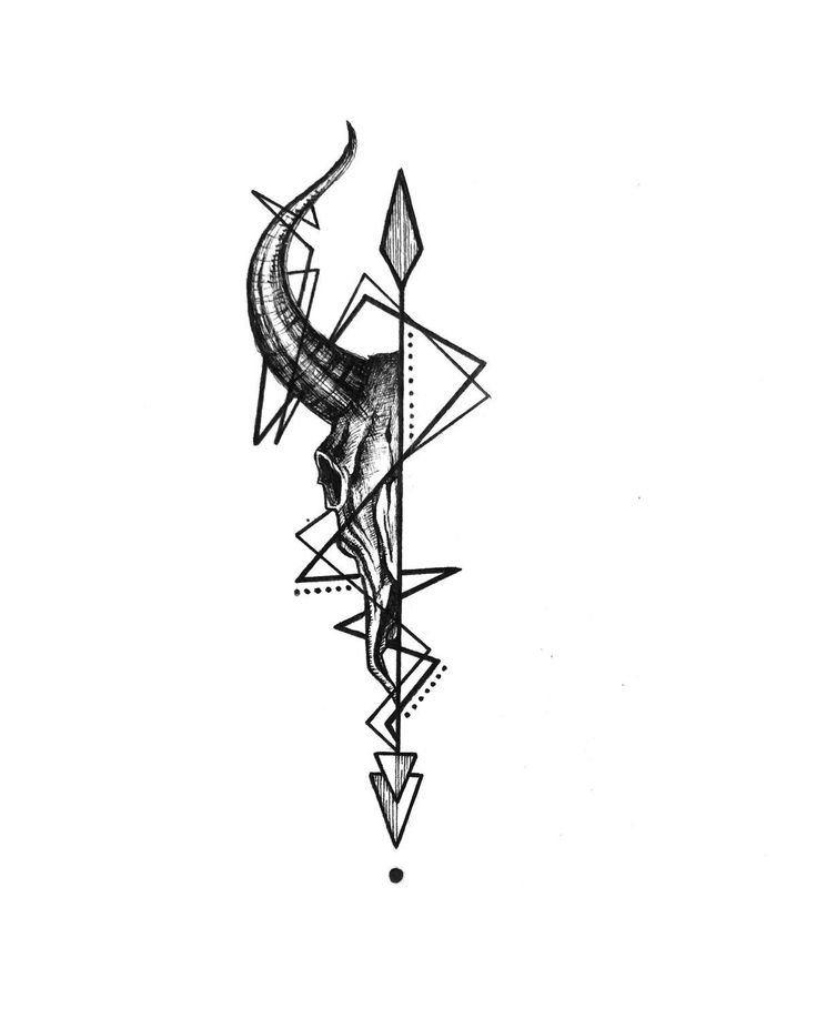 a black and white drawing of an animal with arrows on it's back side