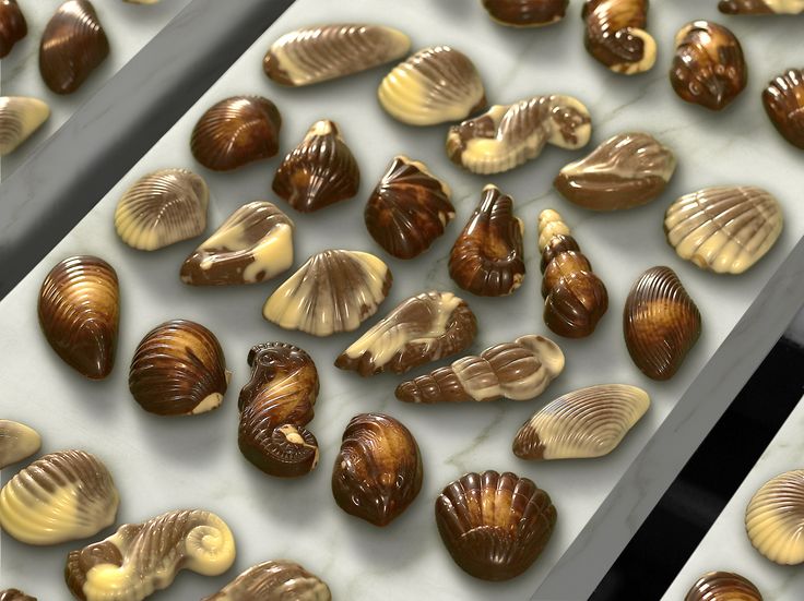 chocolates are lined up on trays in the shape of seashells and shells