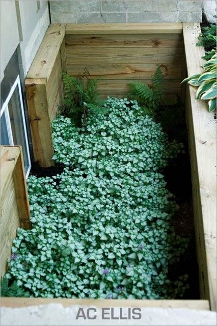 a wooden planter filled with lots of green plants