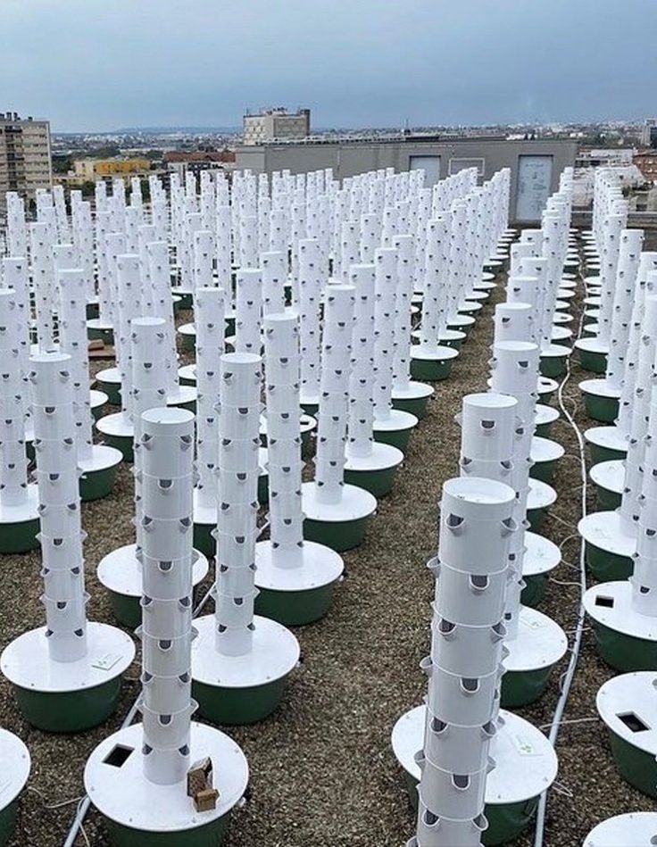 rows of white plastic barrels are lined up on the ground with wires attached to them