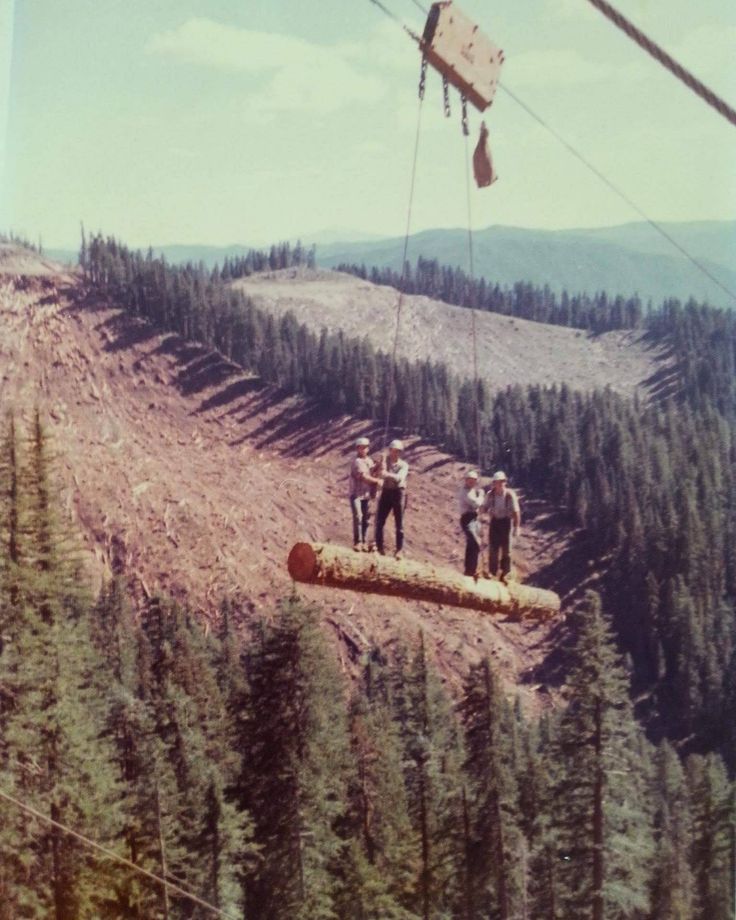 three men standing on top of a hill with trees in the background and one man holding a rope above his head