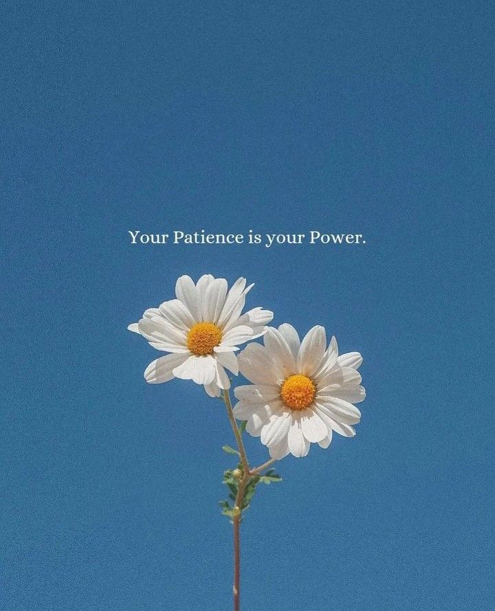 two white daisies with the words your patience is your power above them against a blue sky