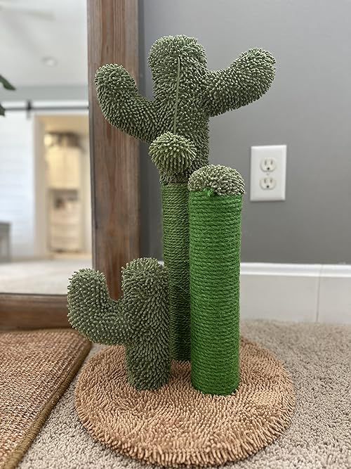 three green cactus plants sitting on top of a rug