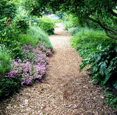 a dirt path surrounded by green trees and purple flowers on either side of the trail