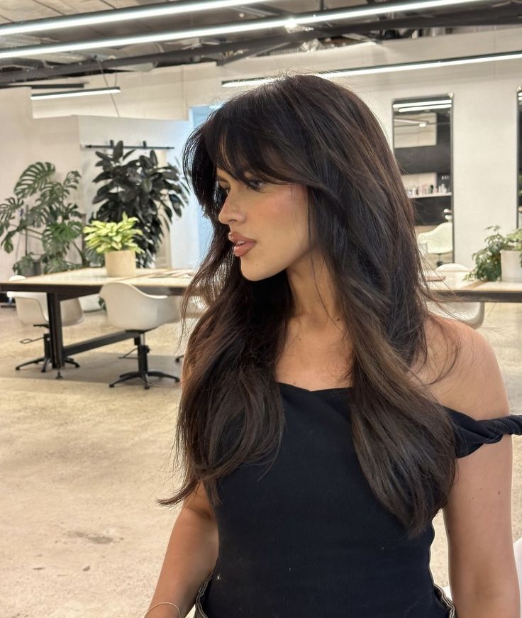 Brunette Haircut Bangs, Brunette Shaggy Hair, Curtain Bangs Brunette Long Hair, Brunette With Fringe, Long Dark Brown Hair With Bangs, Long Brunette Hair With Bangs, V Shaped Bangs, Light Fringe Bangs, Fox Cut Hair