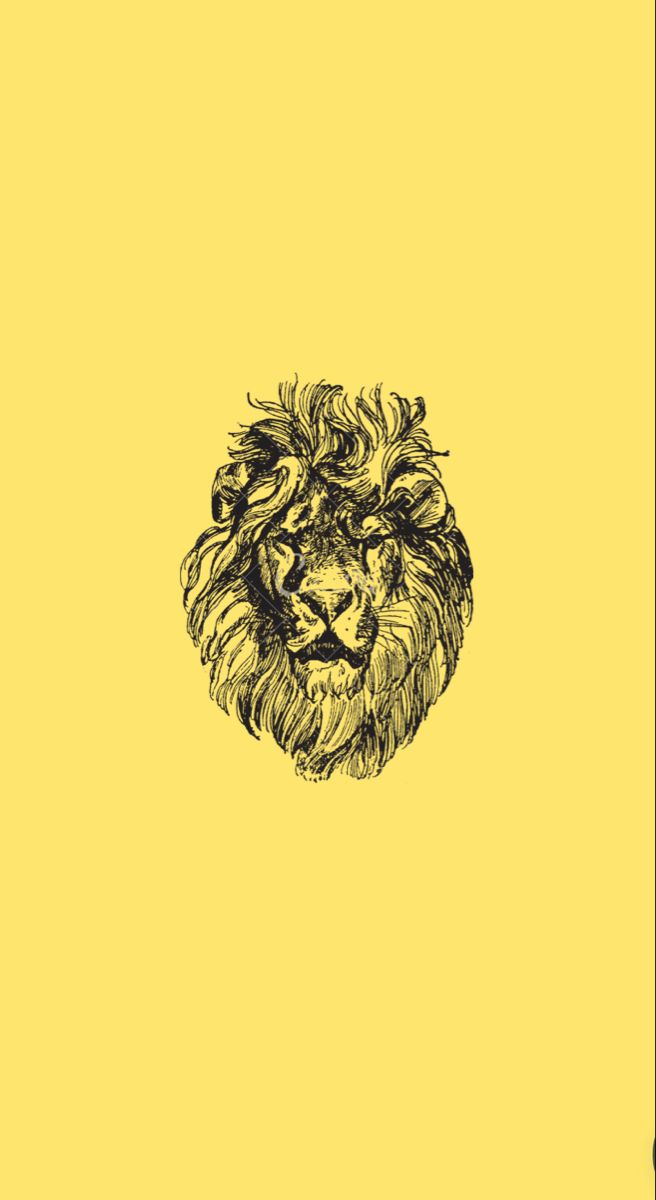 a drawing of a lion's head on a yellow background