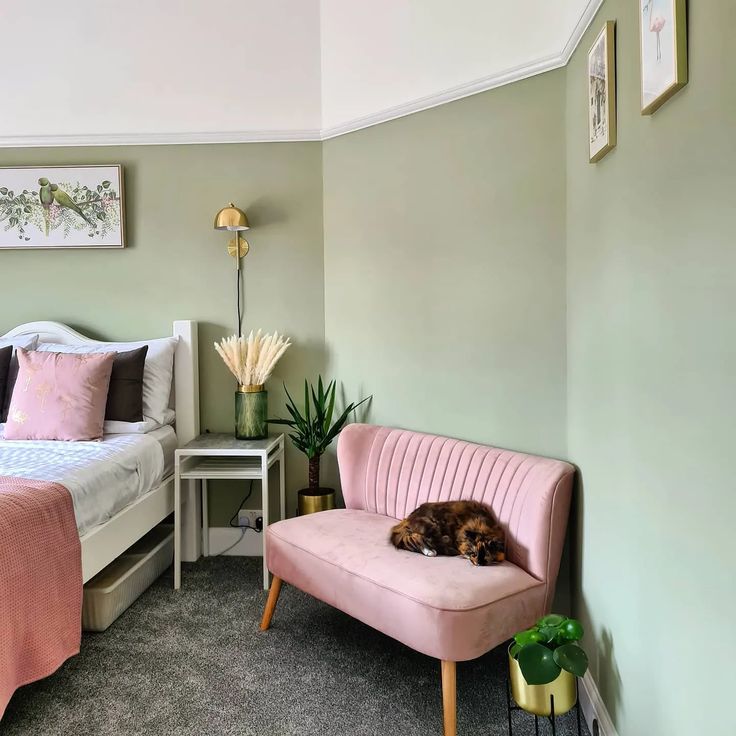 a dog laying on a pink chair in a bedroom