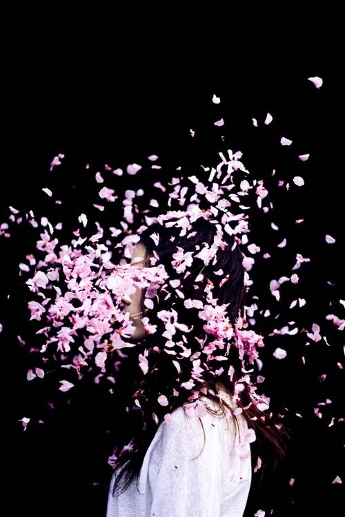 a woman standing under pink flowers in front of a black background with text that reads robert biscotti