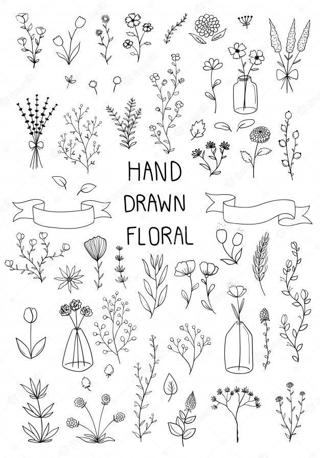 hand drawn floral design elements in black and white, with the words hand drawn floral