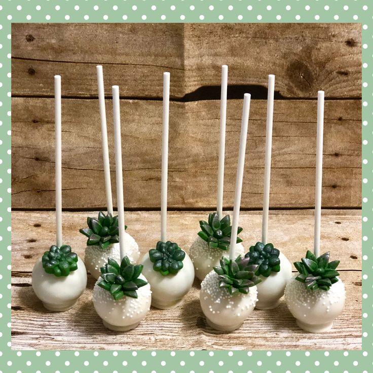 there are some white cake pops with succulents on them and green leaves