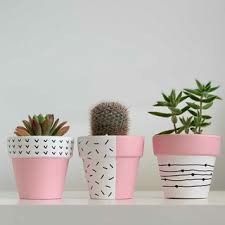 three potted plants sitting on top of a white shelf next to each other in different shapes and sizes