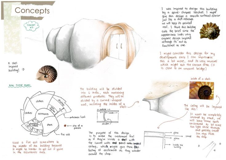 the concept drawing shows how to make an object with different shapes and sizes, including shells