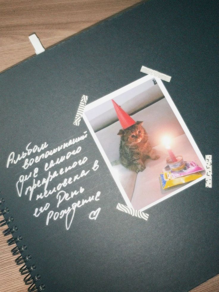 a cat wearing a party hat sitting on top of a book