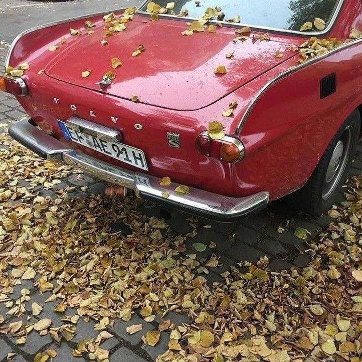 an old red car parked on the side of the road with leaves all over it