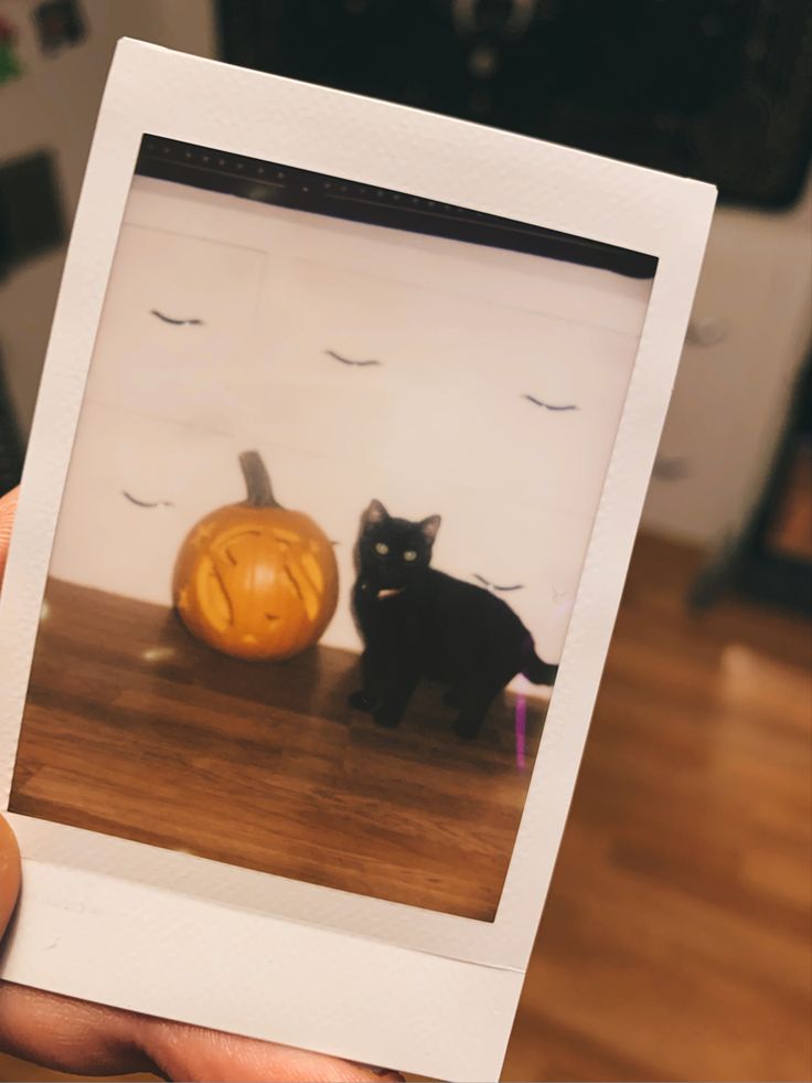 a person holding up a polaroid with a black cat next to a pumpkin