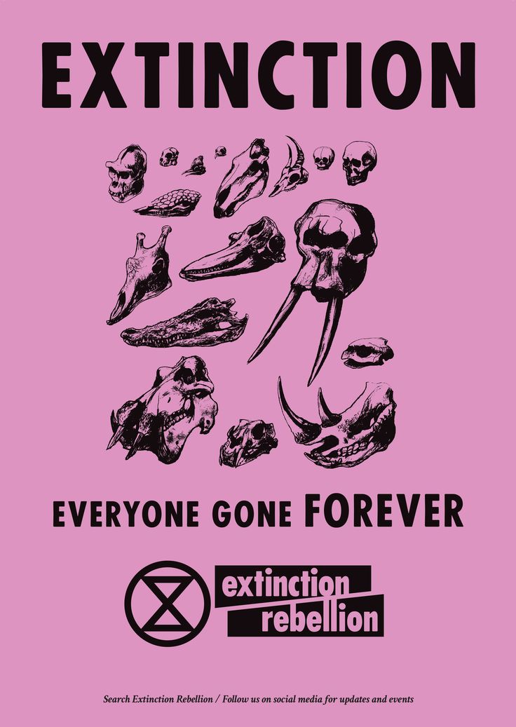 a pink poster with black and white images on it that says, extingtion everyone gone forever