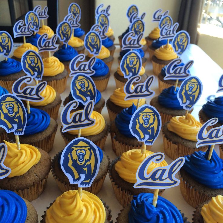 cupcakes decorated with blue and yellow frosting