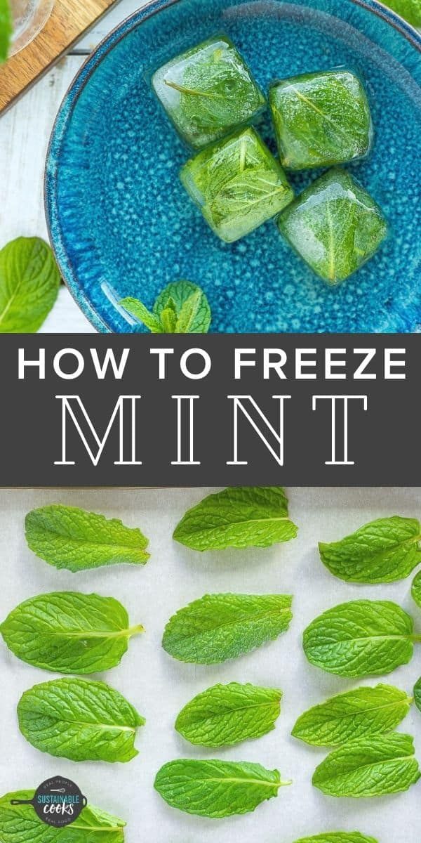 how to freeze mint leaves in the microwave and then ice cubes are on the table