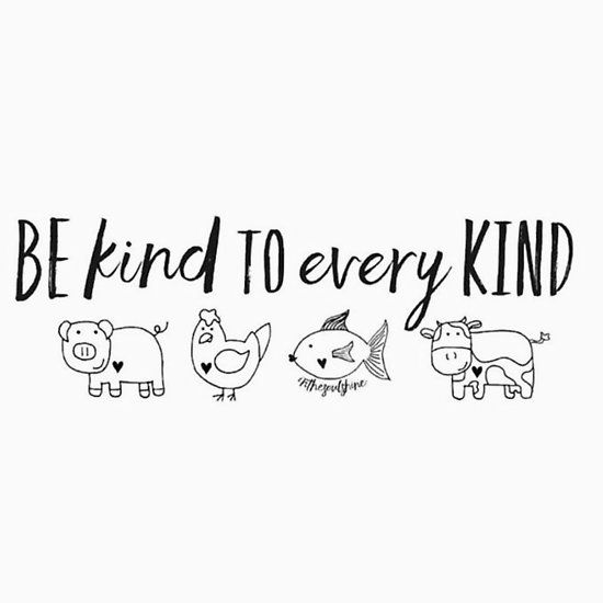 the words be kind to every kind are drawn in black and white