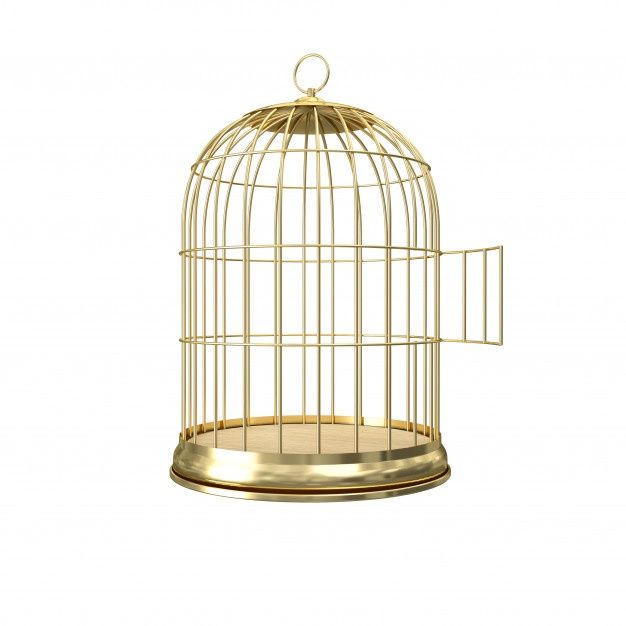 a golden birdcage on a white background