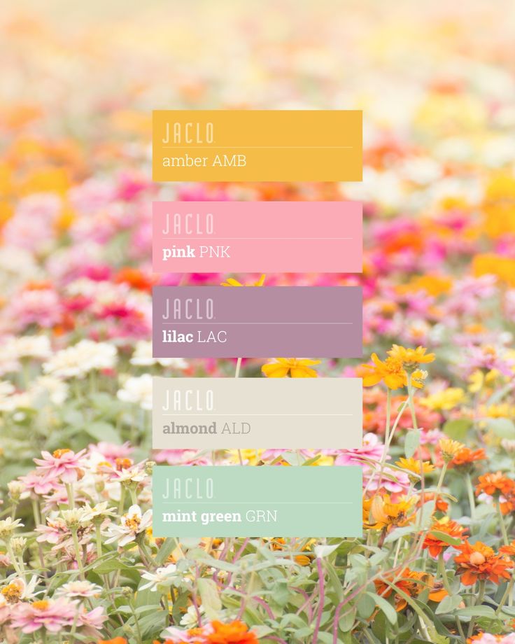 a field full of colorful flowers with the names of each flower on it's side