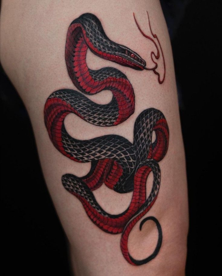 a red and black snake tattoo on the arm