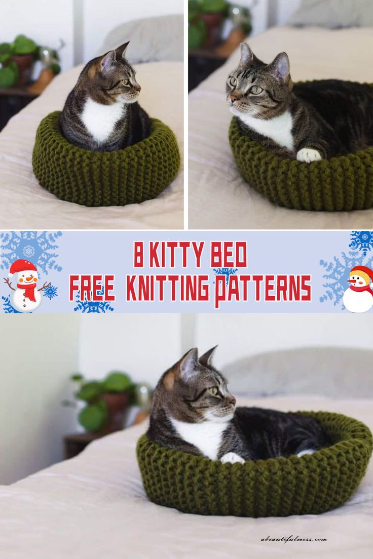 a cat is sitting in a knitted bed