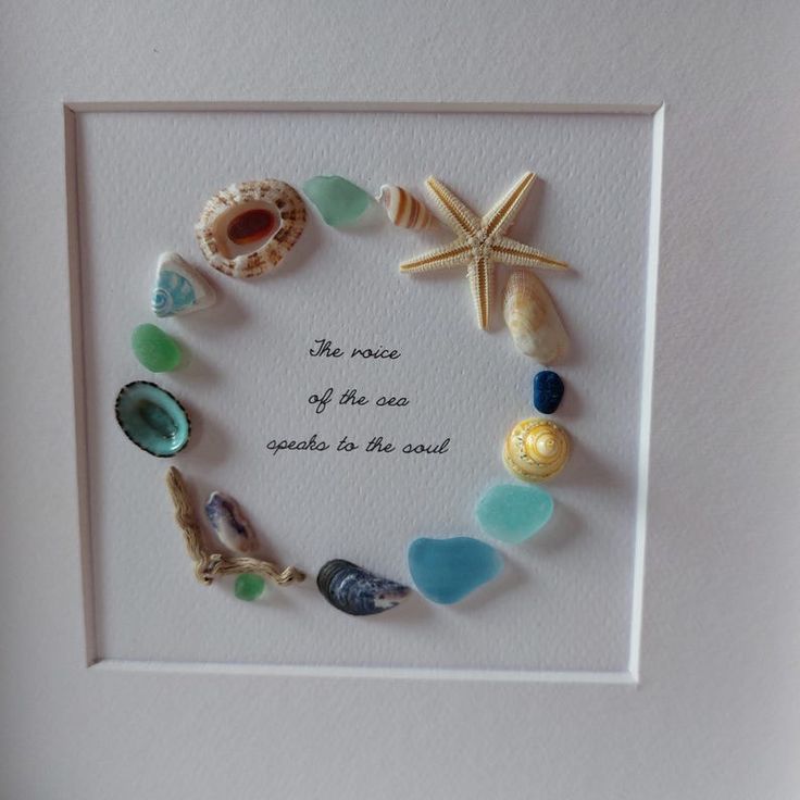 there is a framed picture with shells and starfish on it