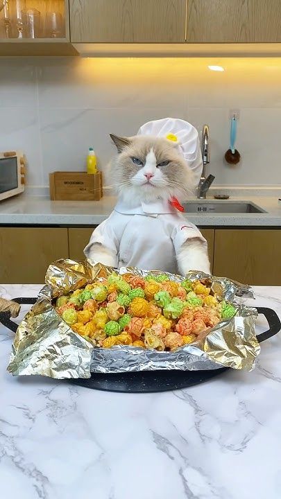 a cat in a chef's outfit sitting at a table with food on it