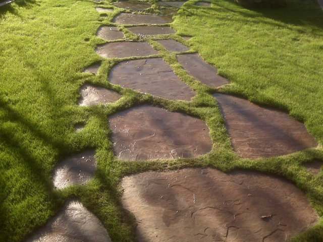 a stone path with grass growing on it