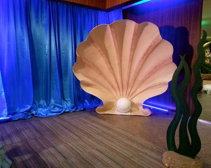 a large white shell sitting on top of a wooden floor next to a blue curtain