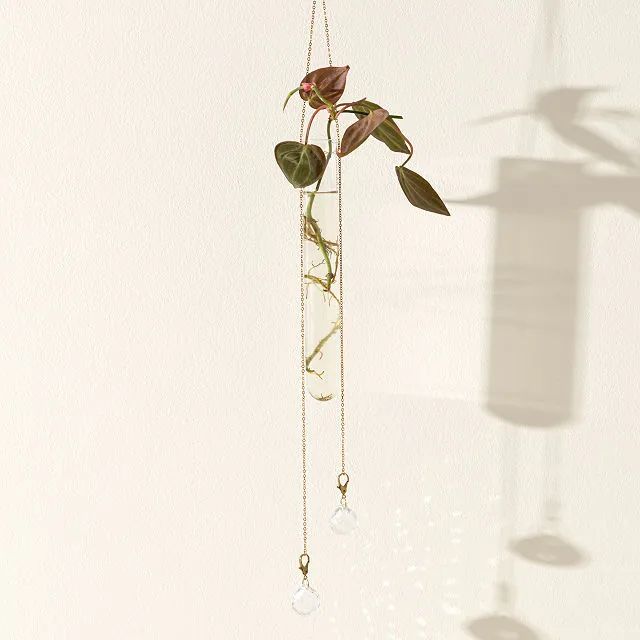 a plant hanging from the side of a wall