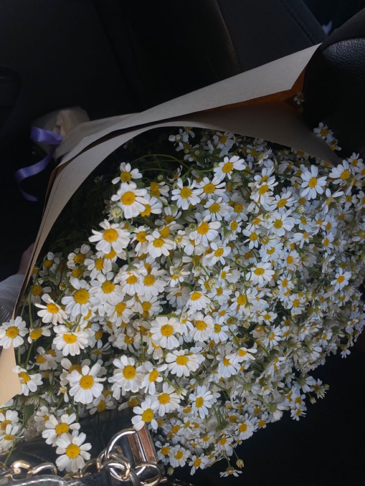 a bouquet of daisies in the back seat of a car with ribbon tied around it