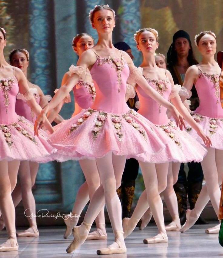 a group of ballerinas in pink tutus and ballet shoes