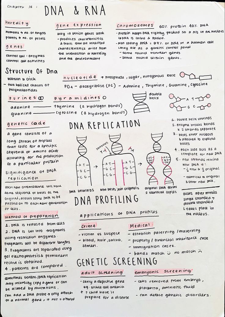 a handwritten poster with some type of information on the page, and other things in it