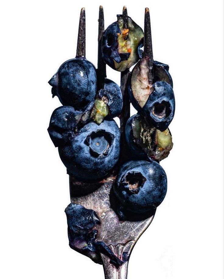 blueberries and other fruits are arranged on a fork with the stems still attached to them