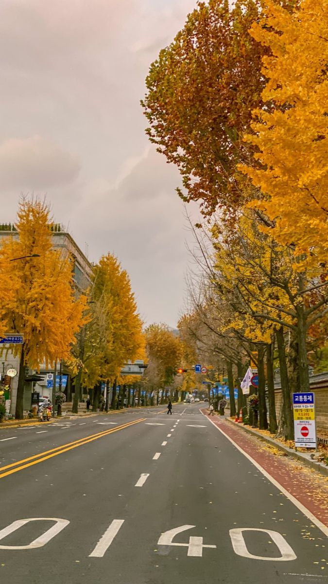 an empty street with yellow trees on both sides