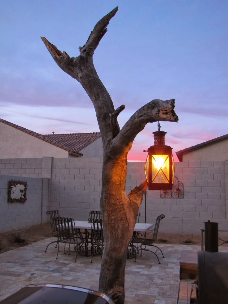 a tree with a lantern hanging from it's trunk in front of a house