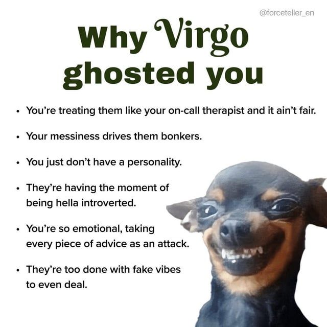 a poster with an image of a dog's face and the words, why virgo ghosted you?