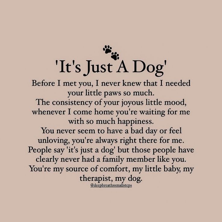 a poem written in black and white with the words, it's just a dog