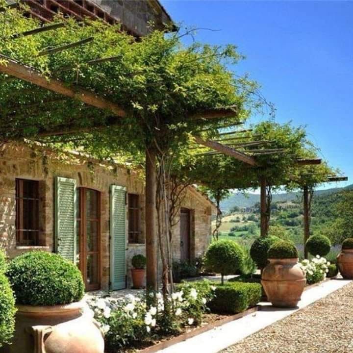 an outdoor area with potted plants and stone buildings in the background, surrounded by greenery