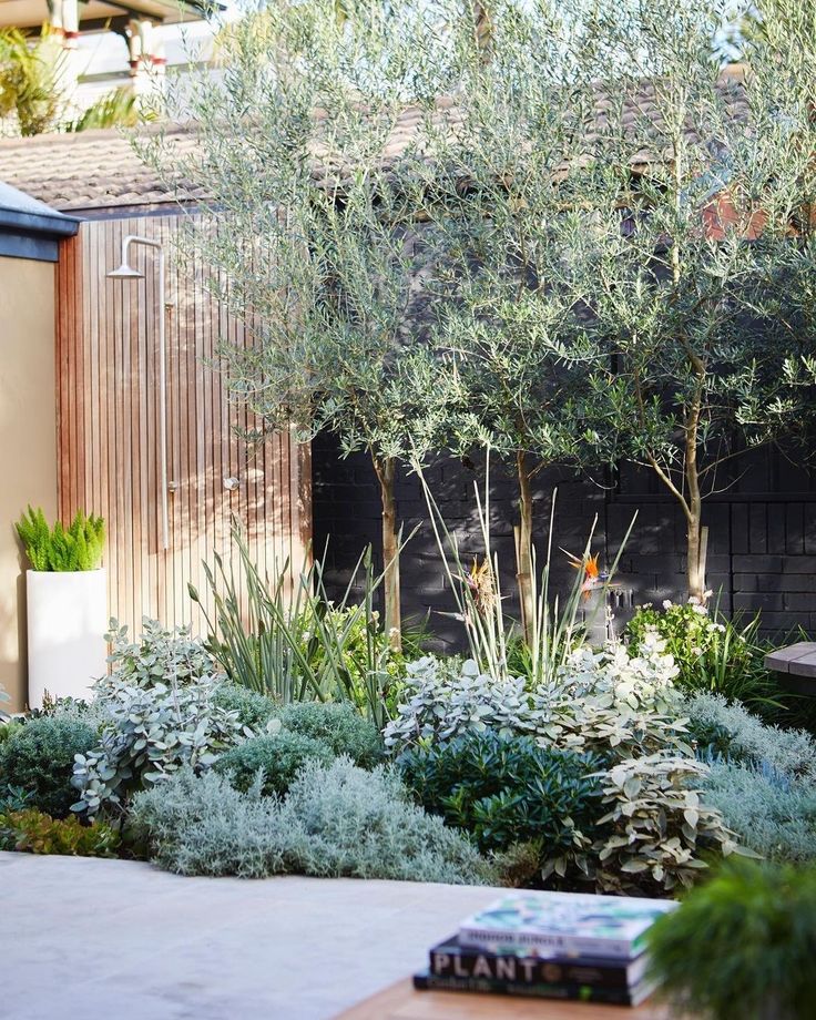 an outdoor garden with trees and plants