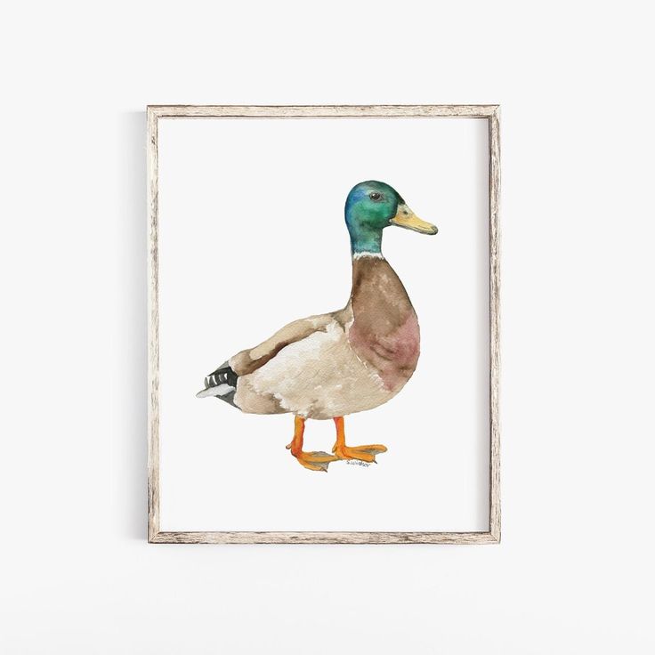 a watercolor painting of a duck in front of a white wall with a wooden frame