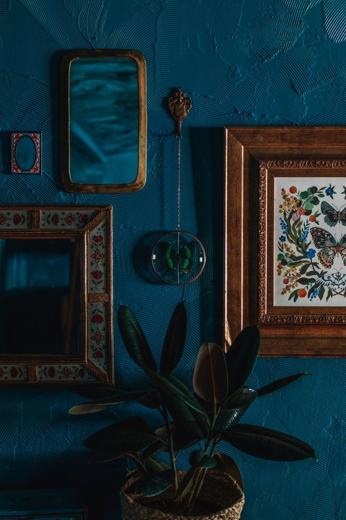 there is a potted plant in front of two framed pictures on the blue wall