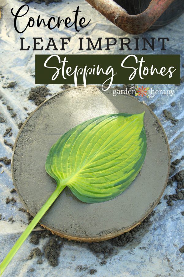 a green leaf sitting on top of a stone slab with the words concrete leaf imprint stepping stones