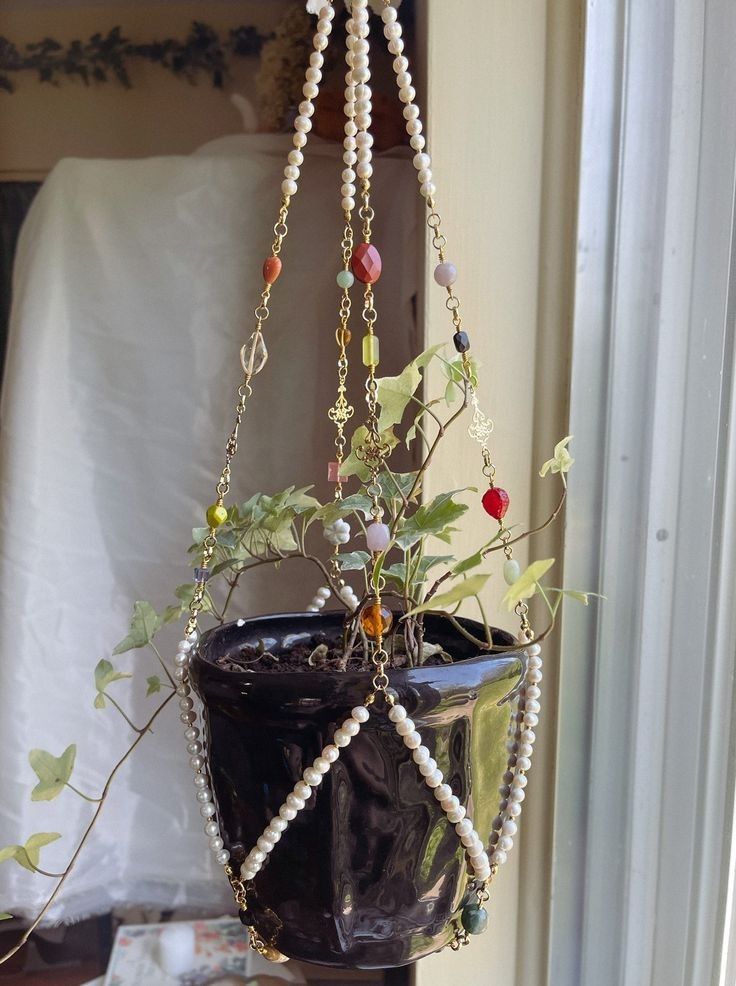 a potted plant with pearls hanging from it's side in front of a window